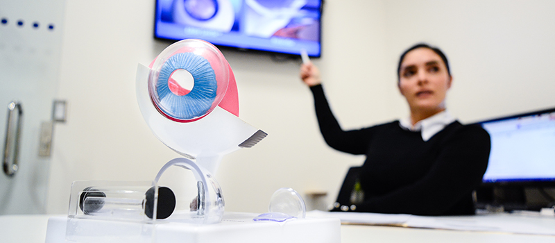 Su Visión es una buena inversión